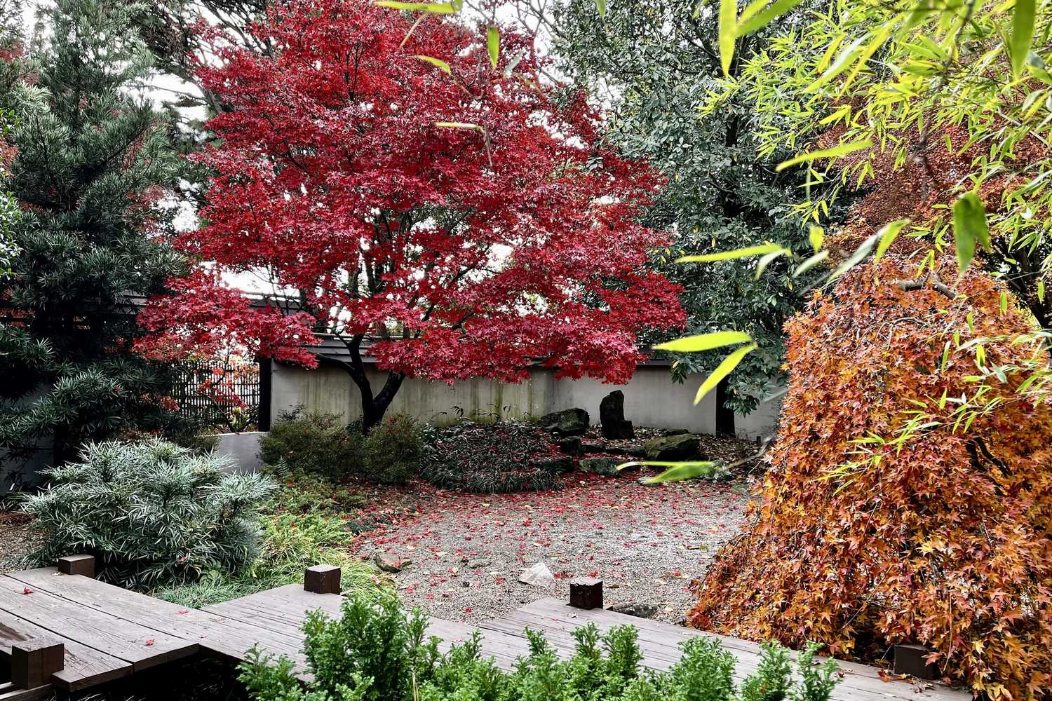 JC Raulston Arboretum photo 1