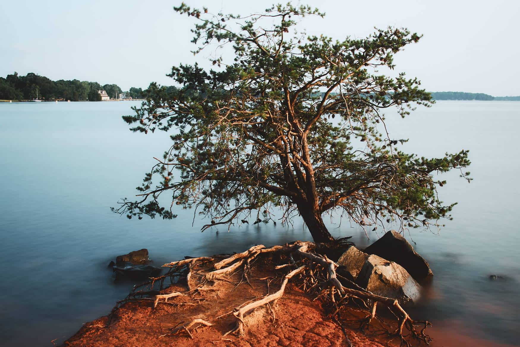 Smithville Park photo 1