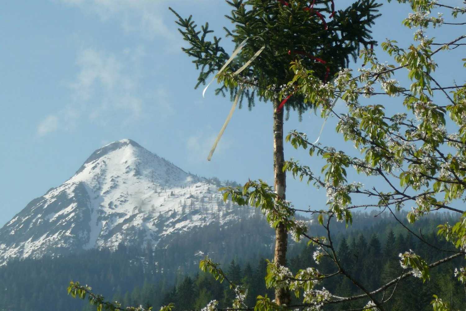 Kinderbauernhof Ederbauer Farm photo 1