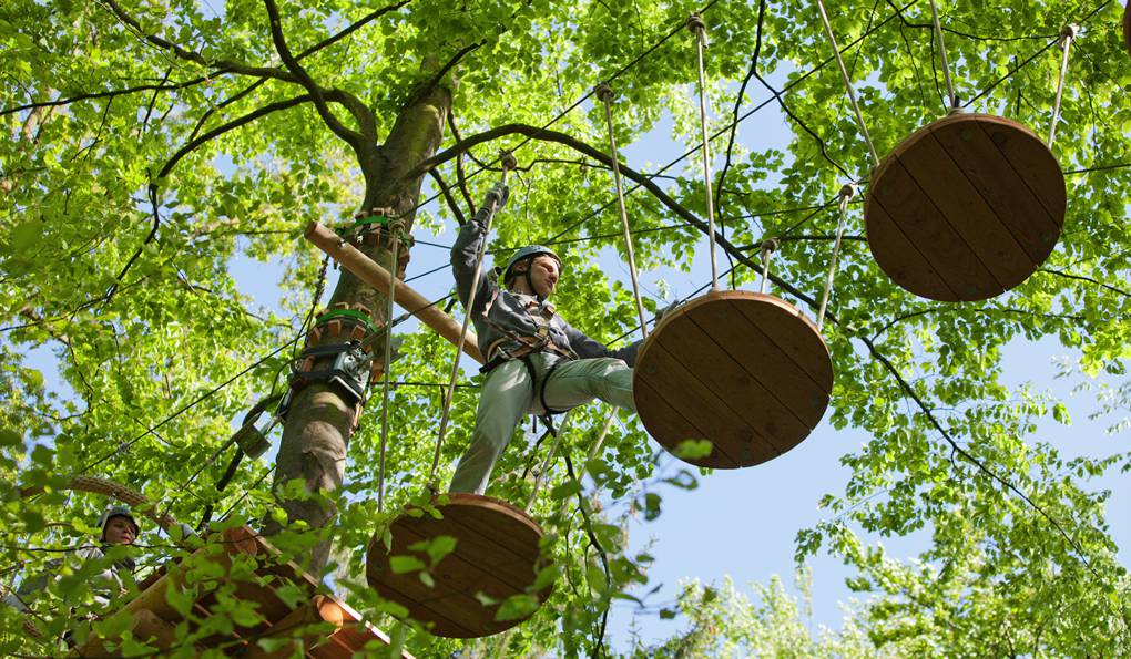 Kletterwald Hamburg Adventure Park photo 1