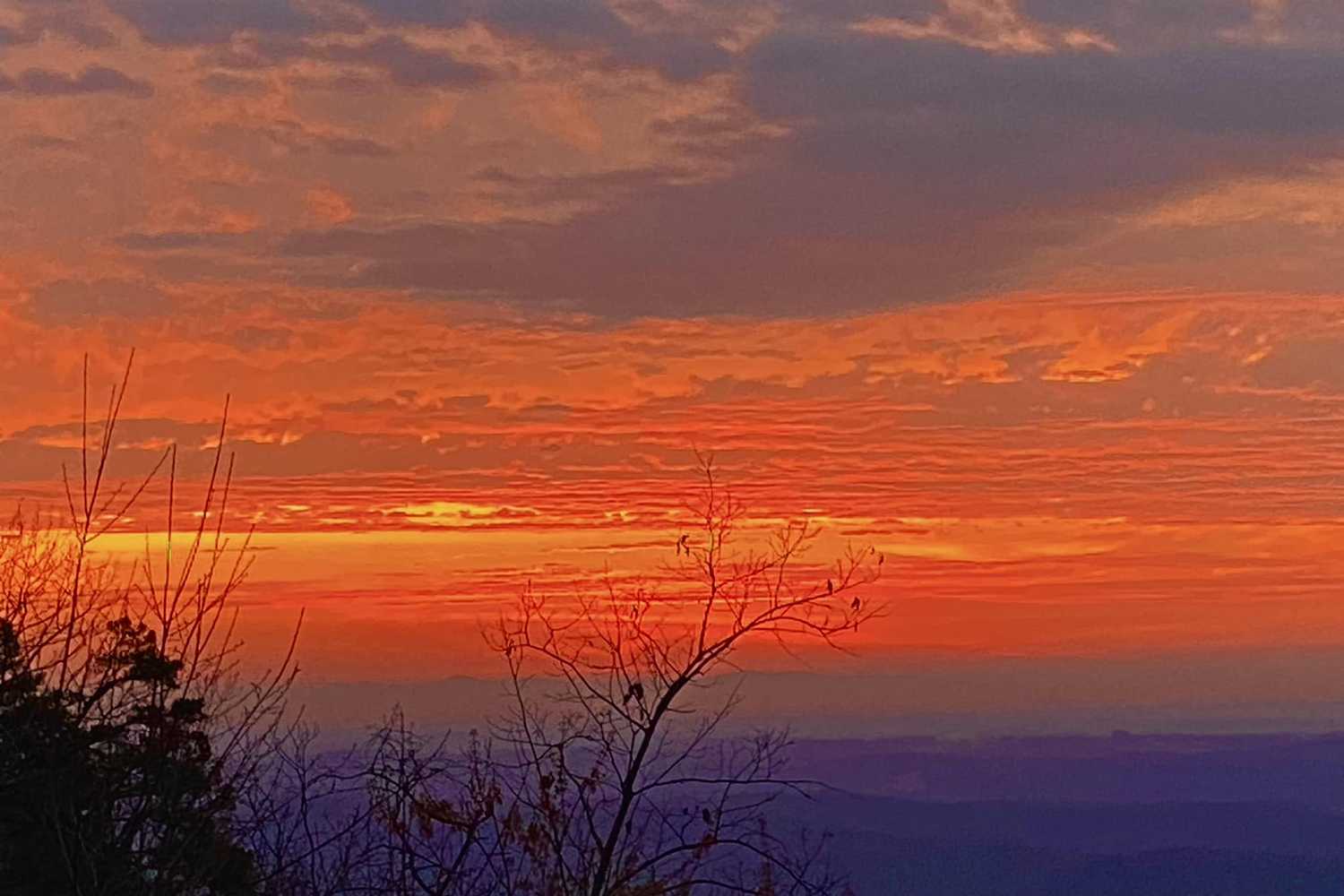 Lake Powhatan Recreation Area & Campground photo 1