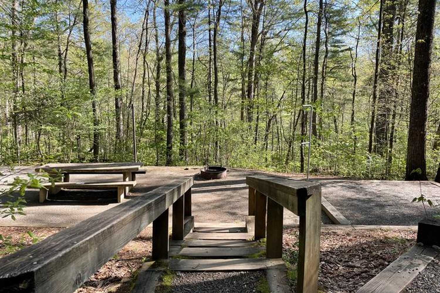 Lake Powhatan Recreation Area & Campground photo 1