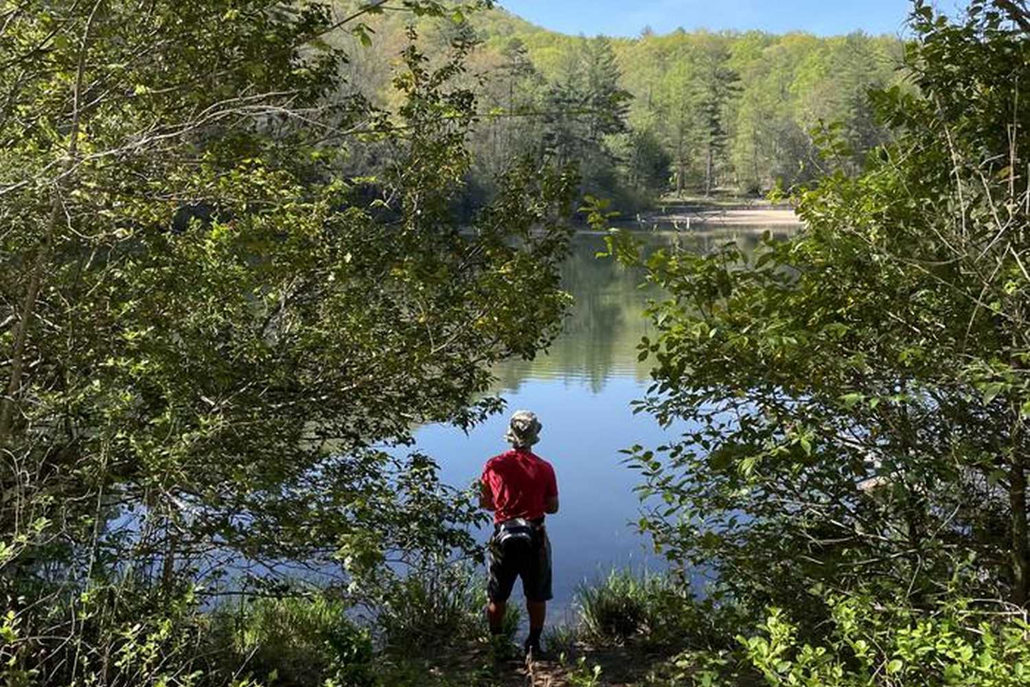 Lake Powhatan Recreation Area & Campground photo 1