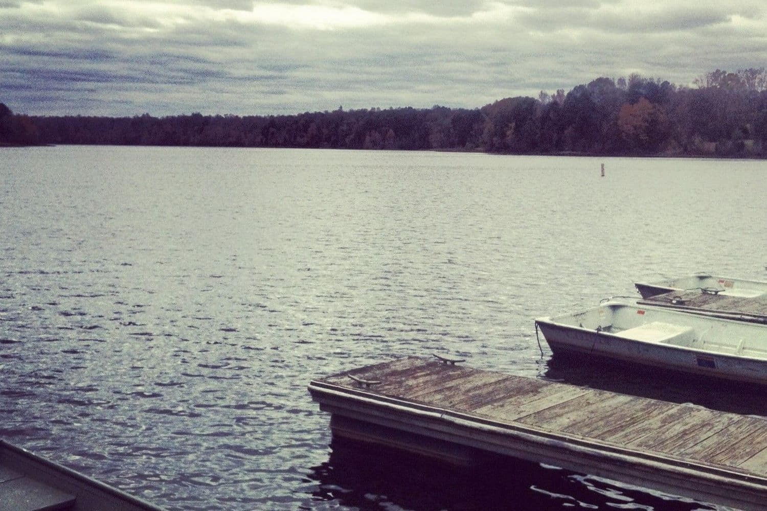 Little River Park and Marina photo 1