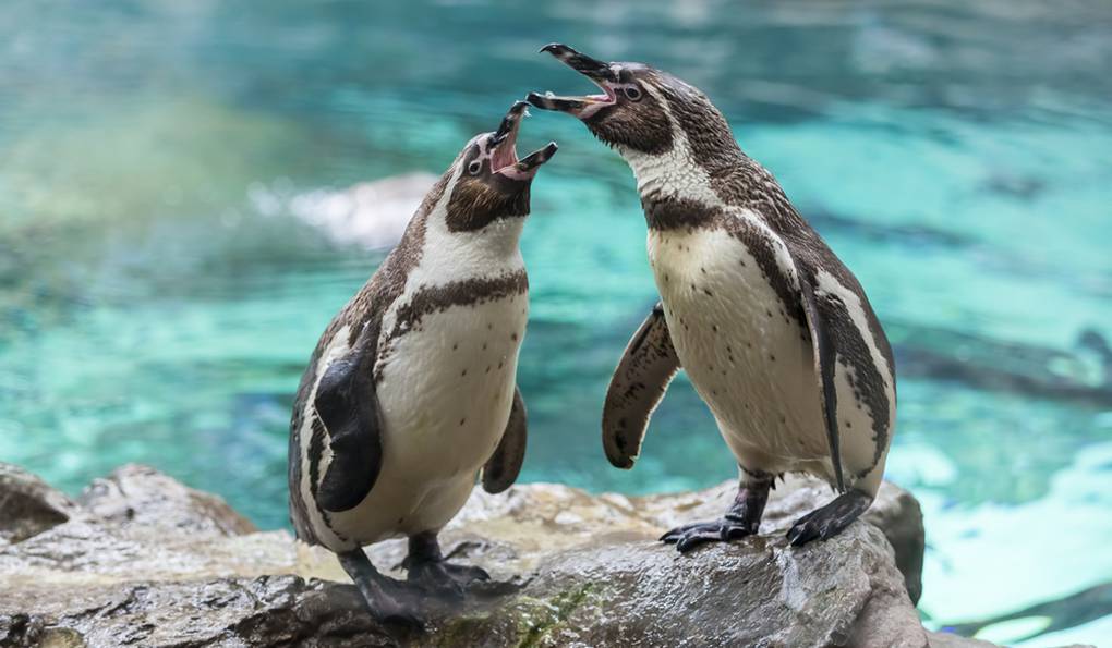 Terra Natura Murcia photo 1