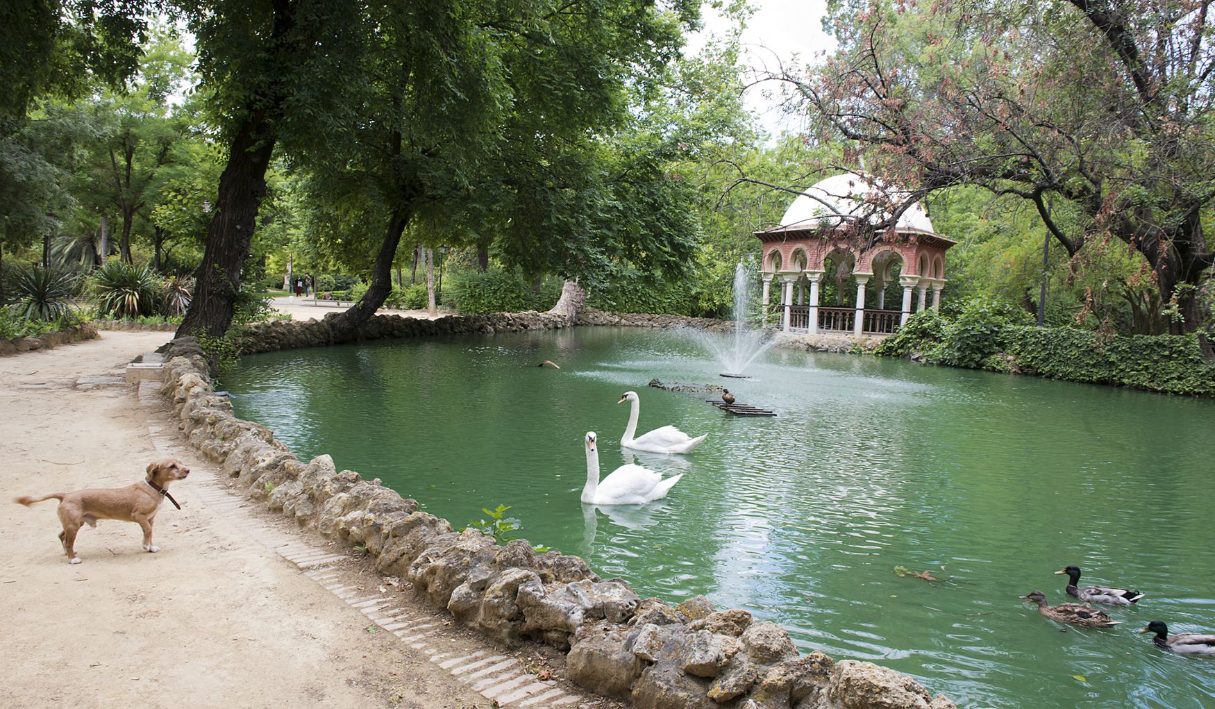 Murillo Gardens photo 1