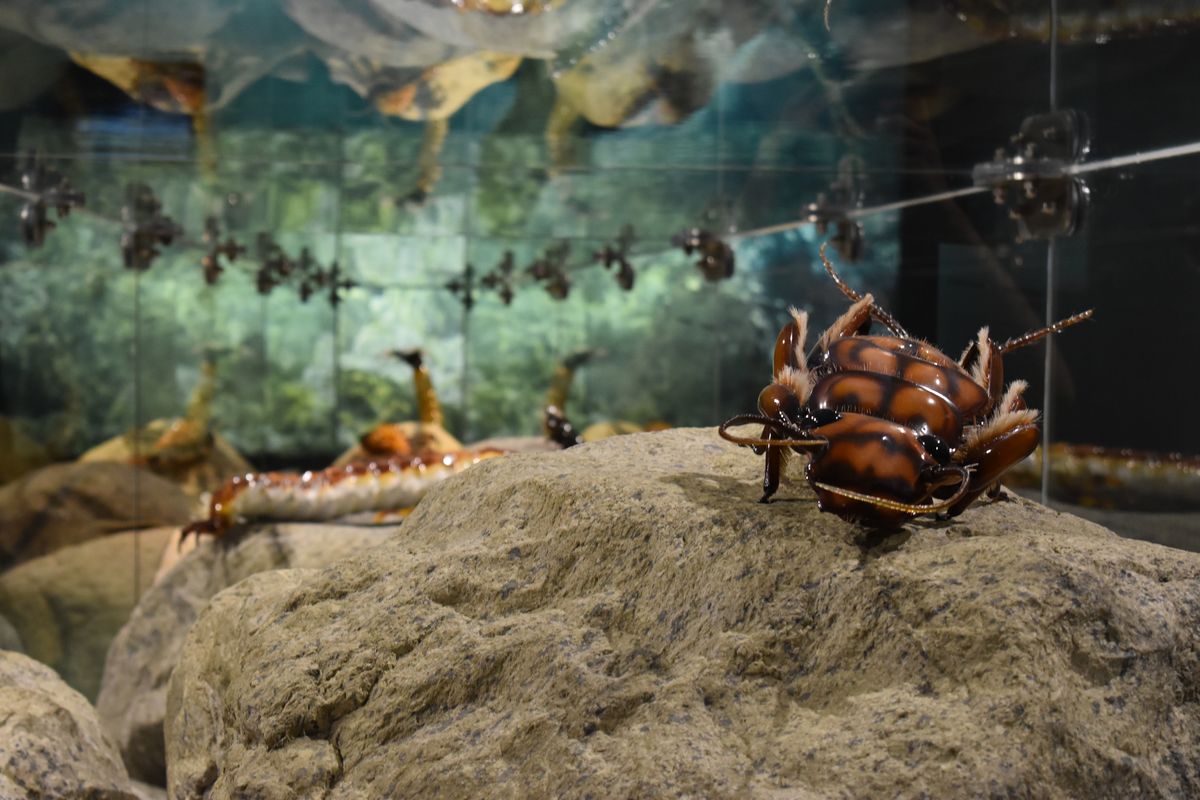 Mittersill National Park Museum photo 1