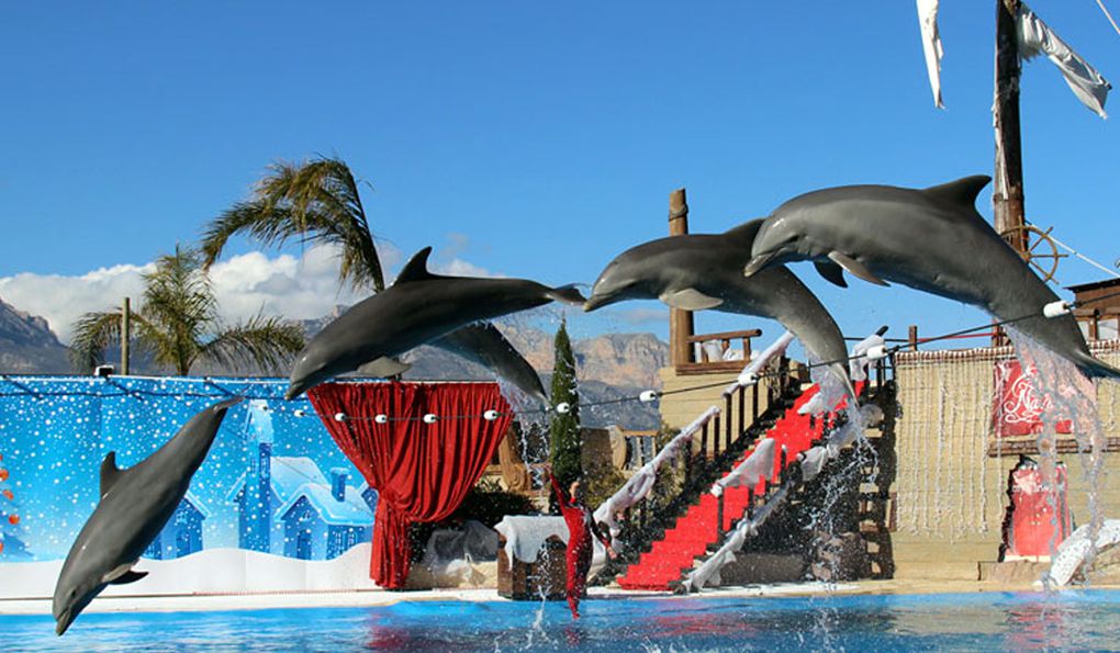 Mundomar Park photo 1