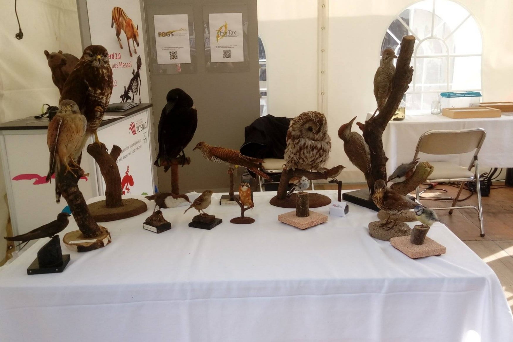 Museum Koenig photo 1