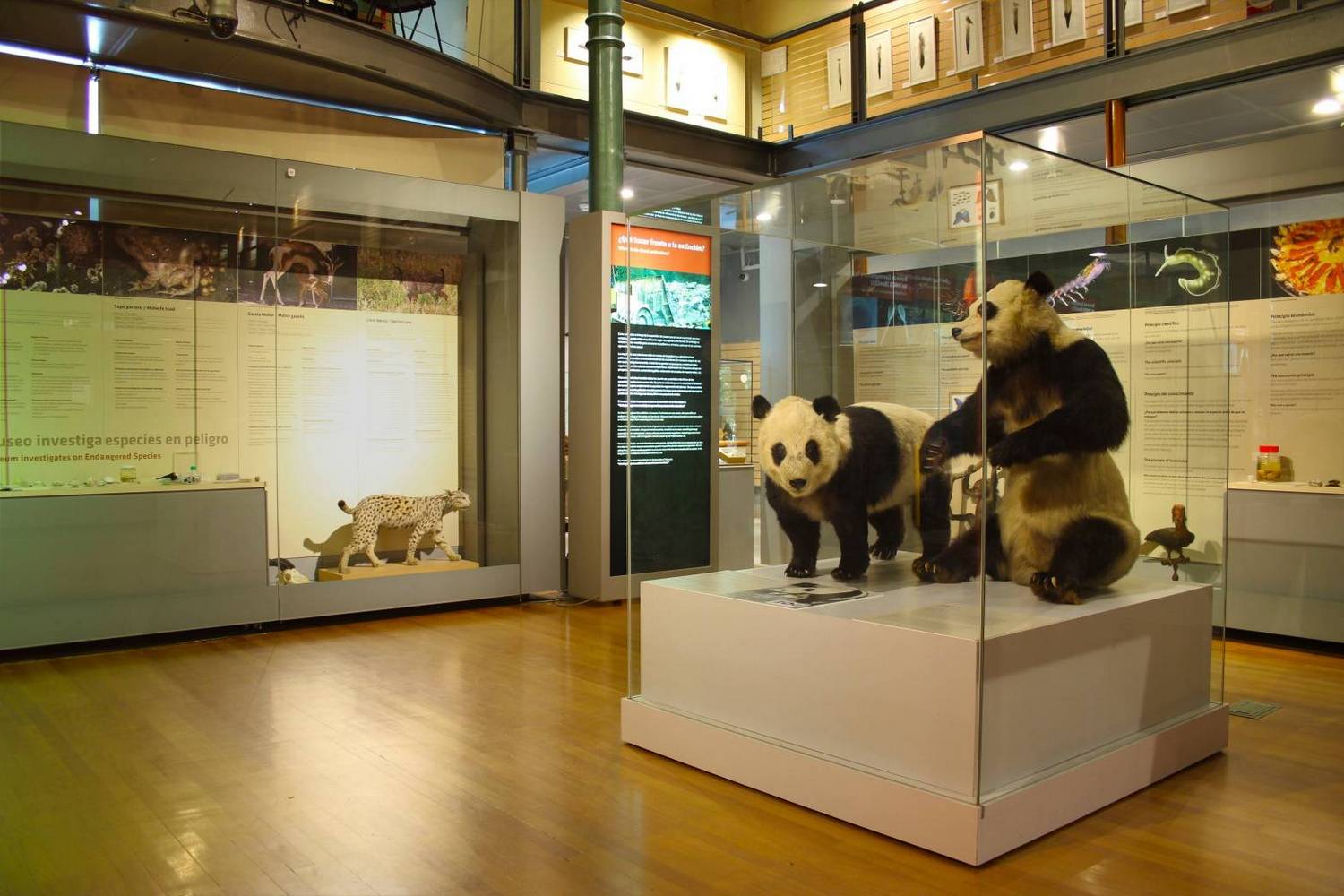 National Museum of Natural Sciences