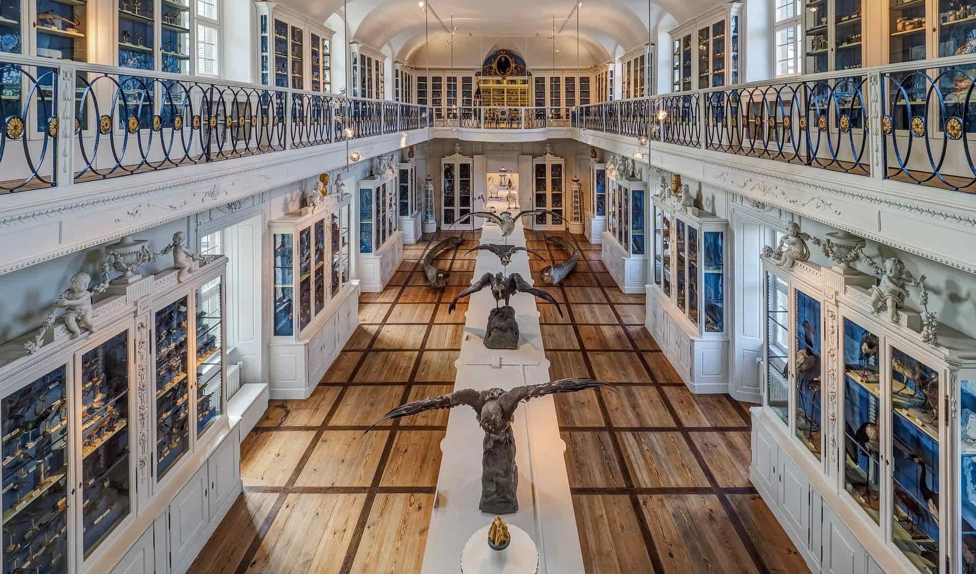 Natural History Museum