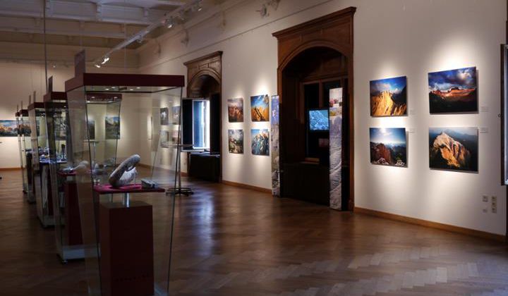 Natural History Museum Vienna photo 1