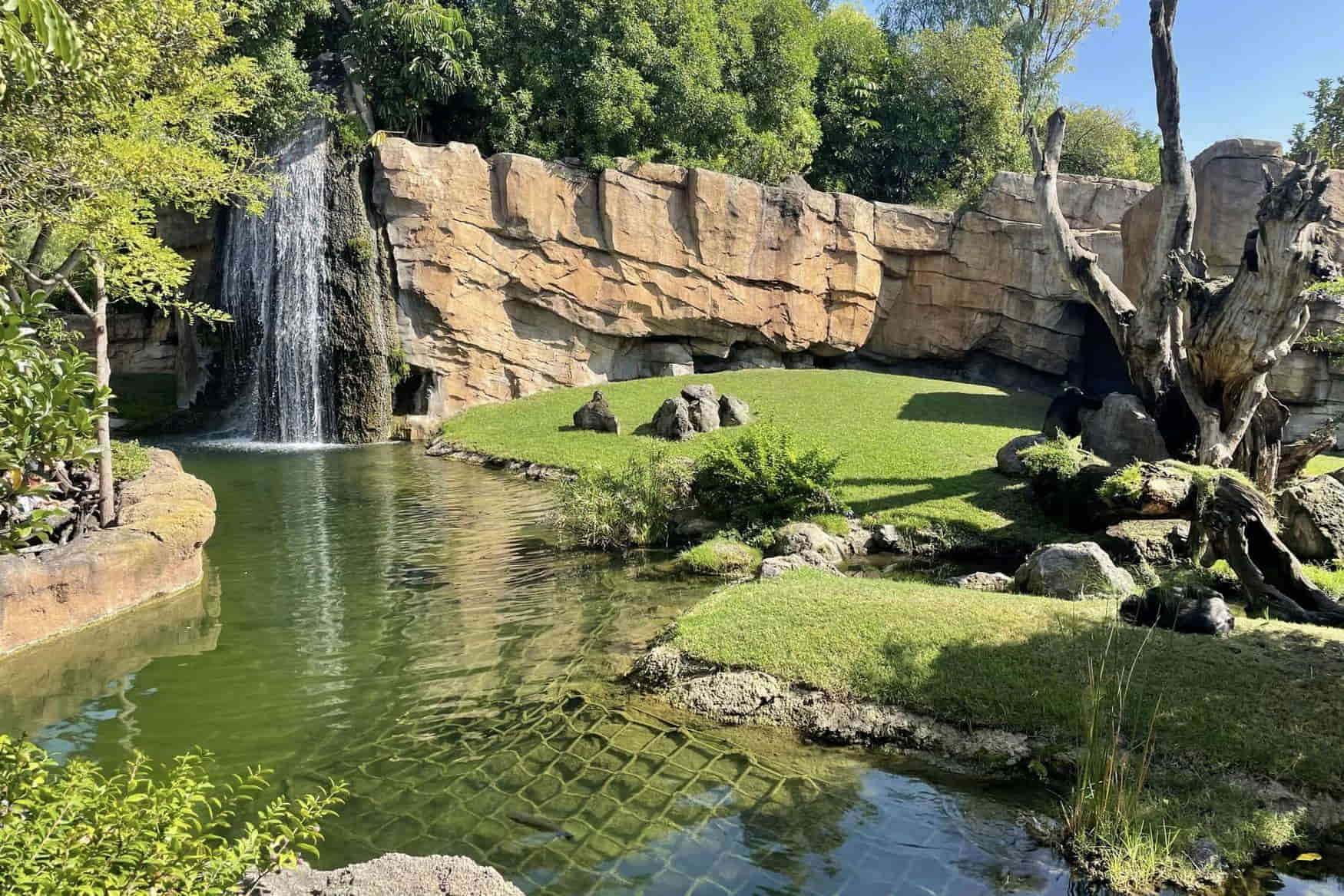 Nature and Adventure Park Buchenberg photo 1