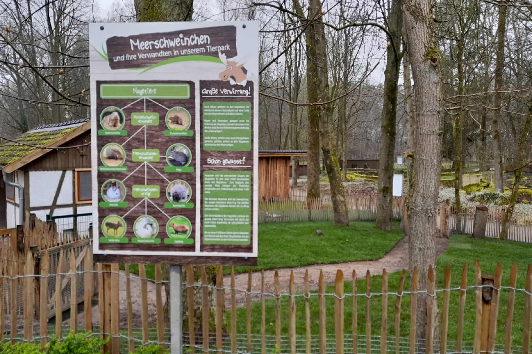 Tigerpark Dassow photo 1