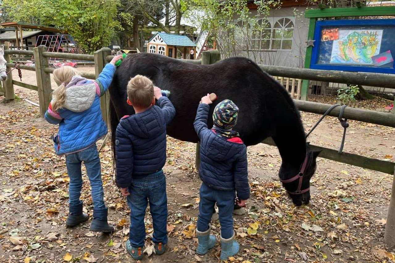 Noahs Ark Meerbusch photo 1