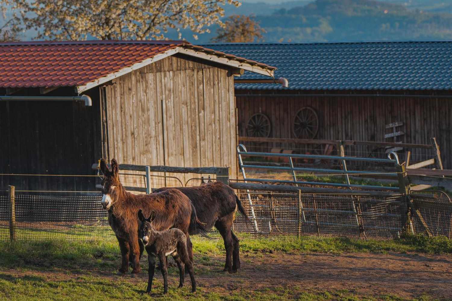 Otakarova Farma photo 1