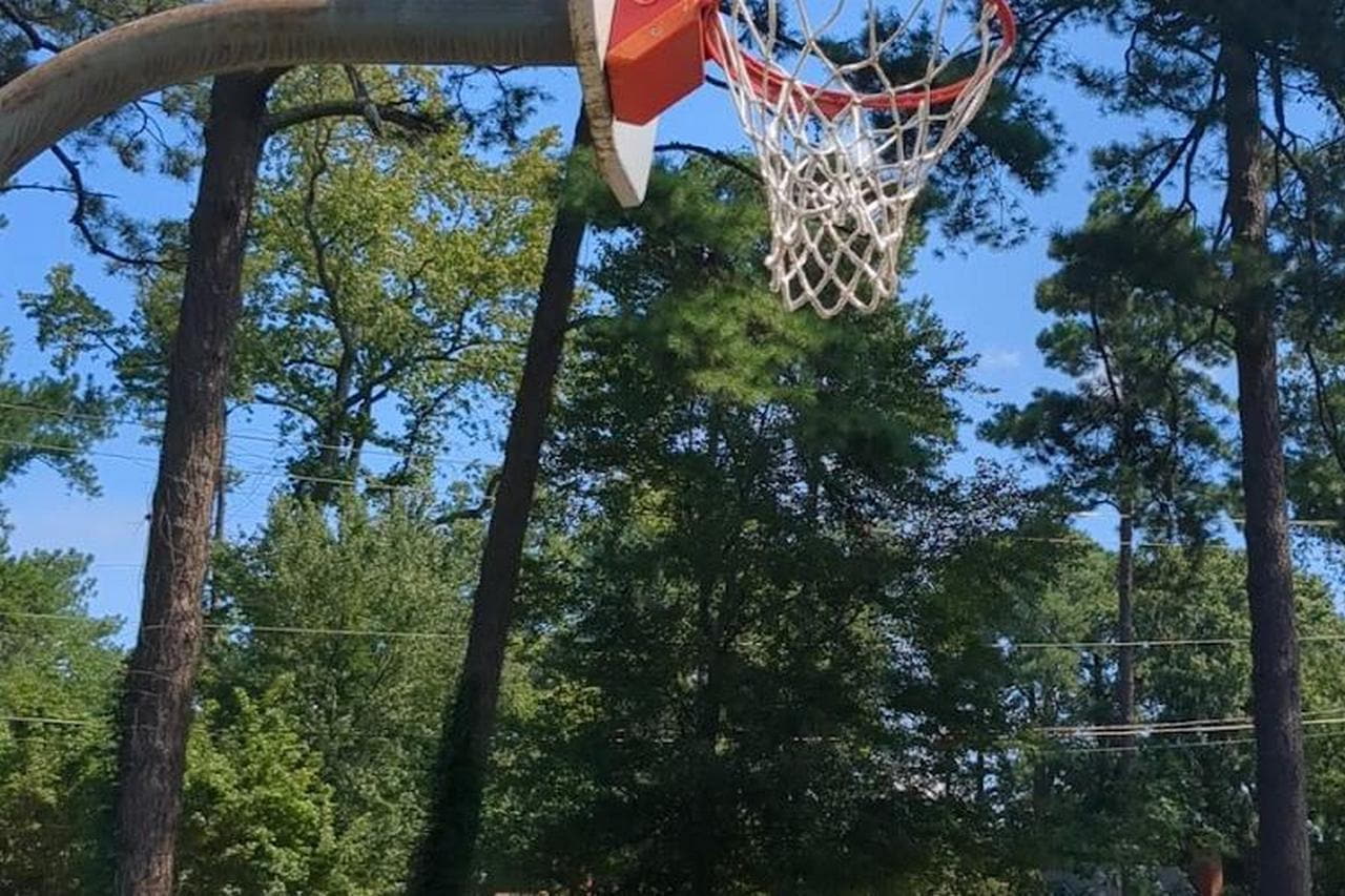 Oval Drive Park photo 1