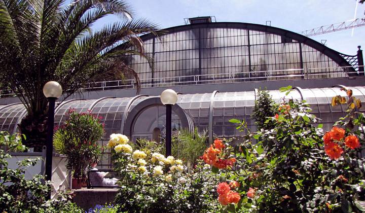 Palmengarten photo 1