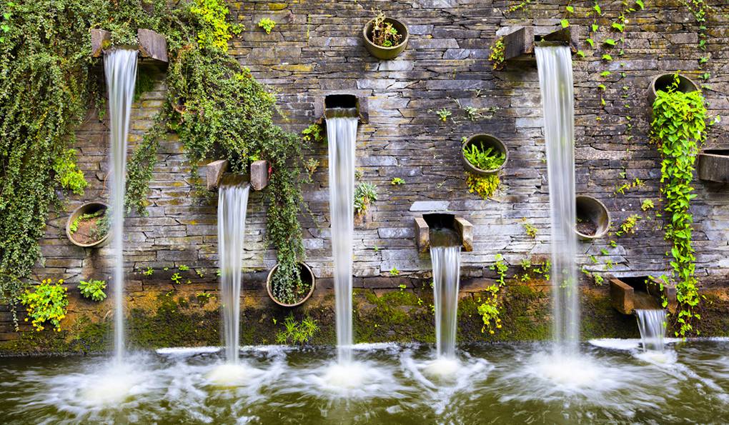 Planten un Blomen photo 1