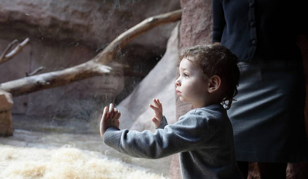 Crocodile Zoo photo 1