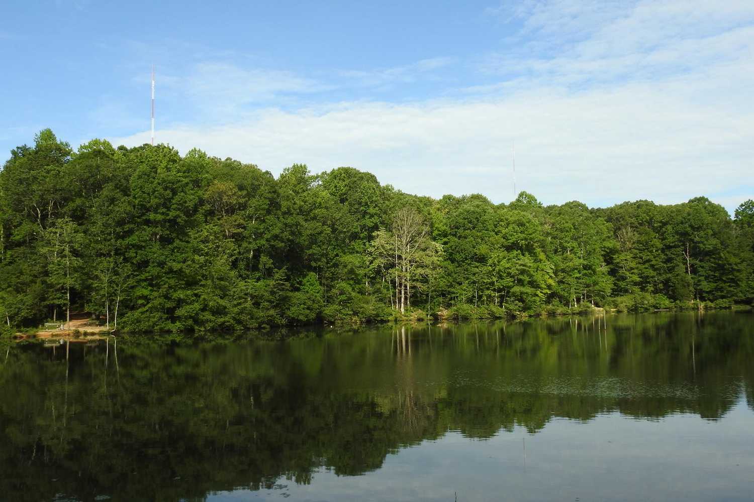 Reedy Creek Nature Center photo 1