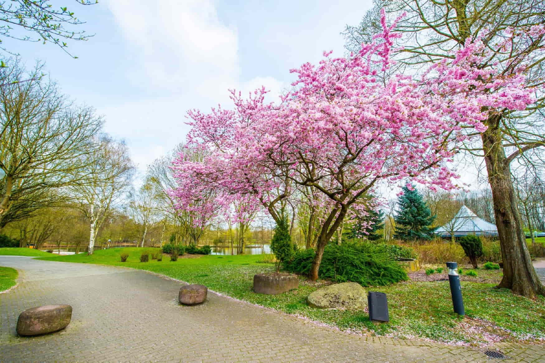 Westfalenpark photo 1