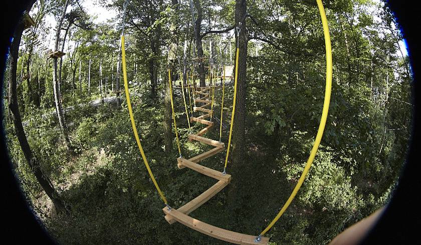 Forest Rope Park Kahlenberg photo 1