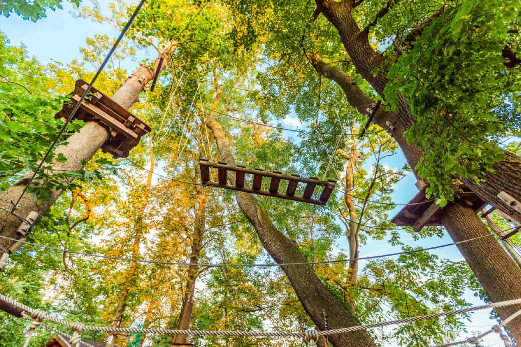 Rope Park Tattendorf photo 1