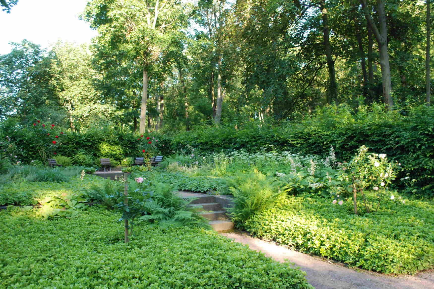 Rosenhohe Park photo 1