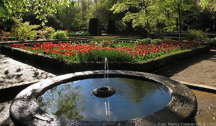 The Enchanted Forest photo 1