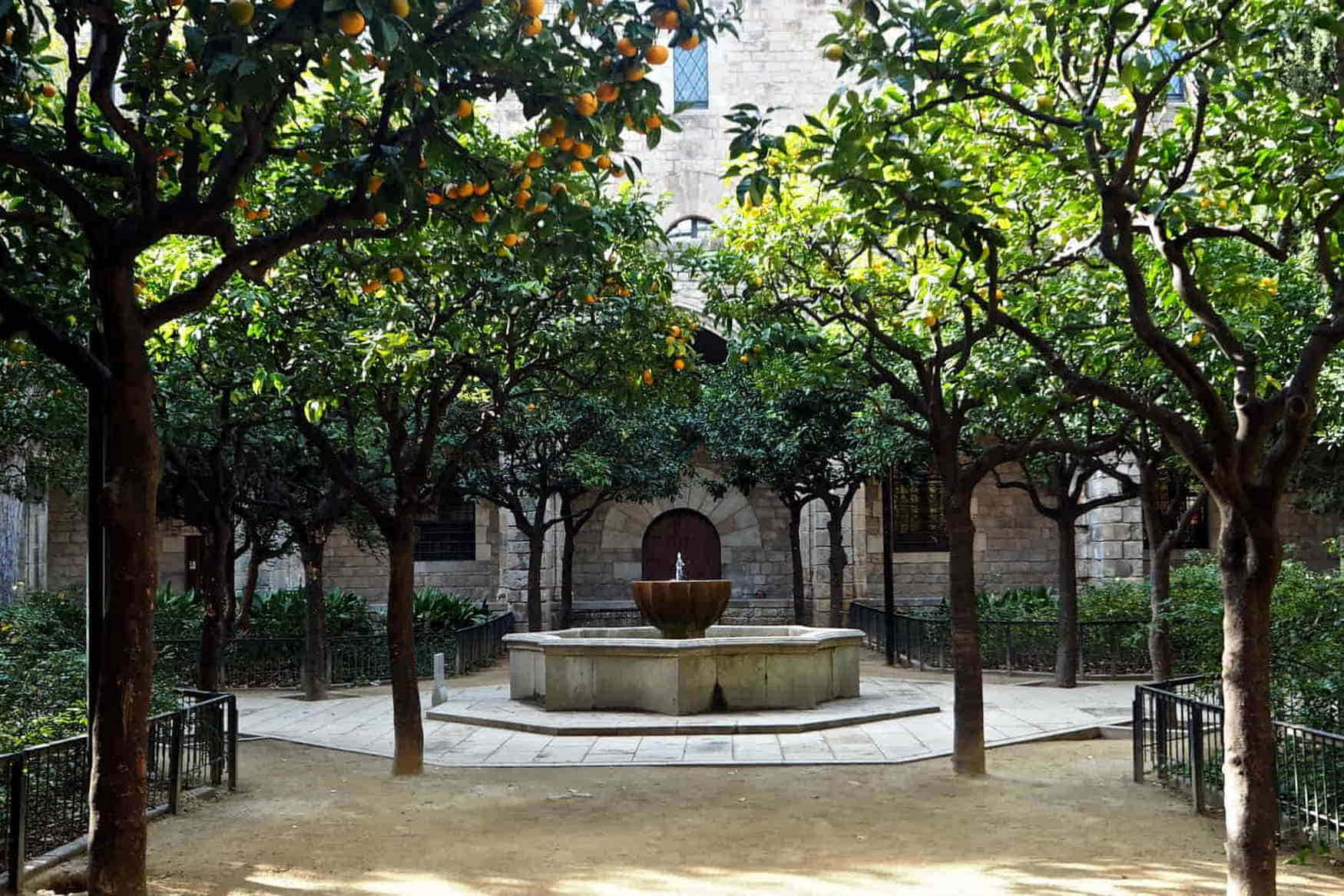 Rubio i Lluch Gardens photo 1