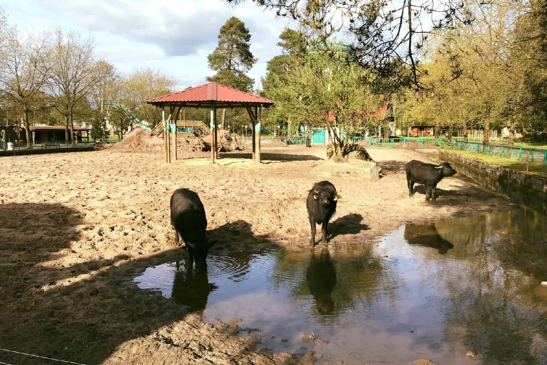 Serengeti Park Hodenhagen photo 1