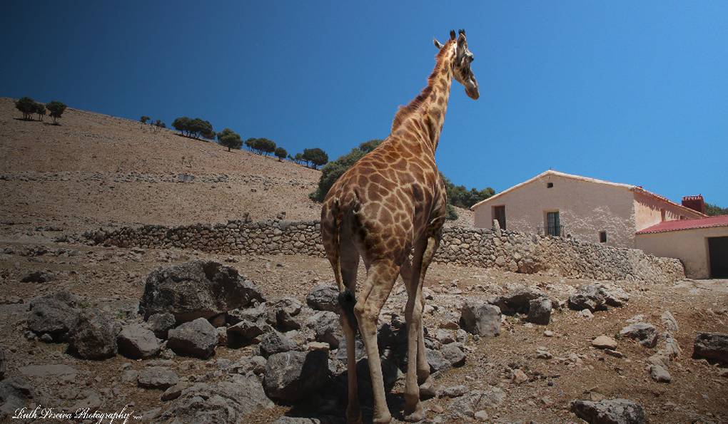 Safari Park La Reserva photo 1