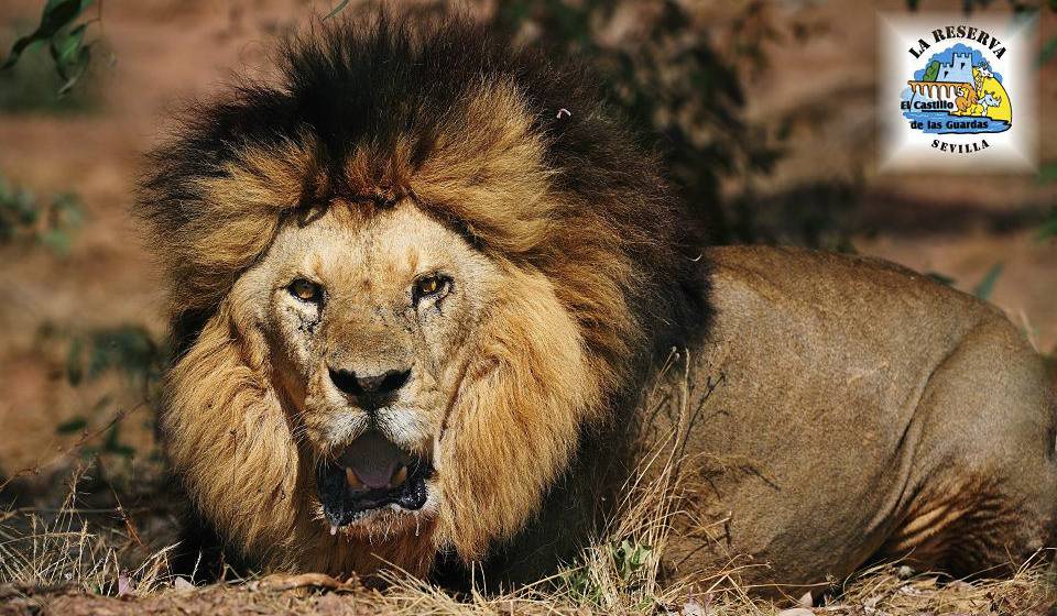 Safari Park La Reserva photo 1