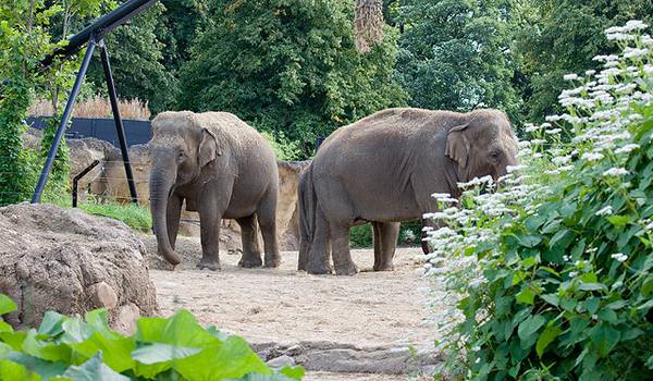 Wildpark Ernstbrunn photo 1
