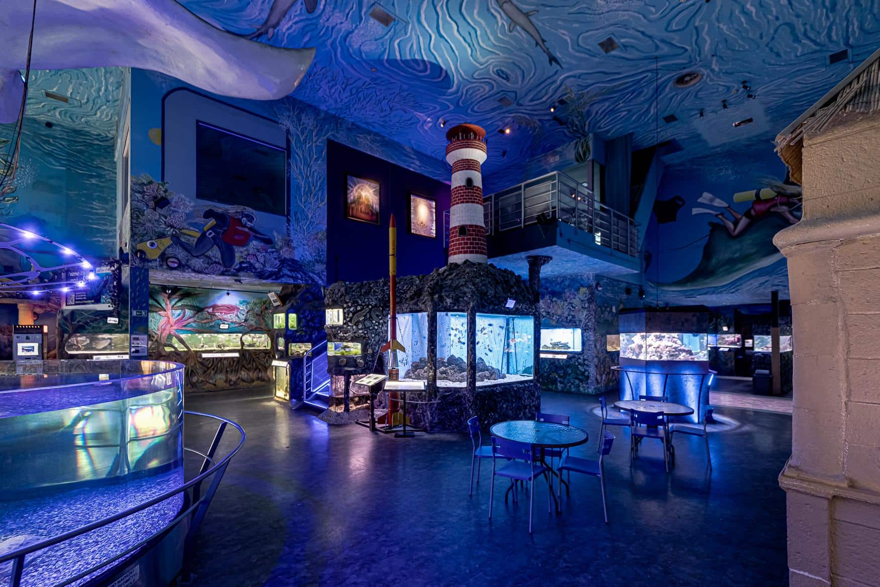 The World of Jellyfish photo 1