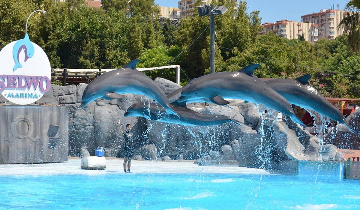 Selwo Marina Delfinarium photo 1