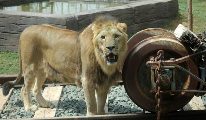 Terra Natura Murcia photo 1