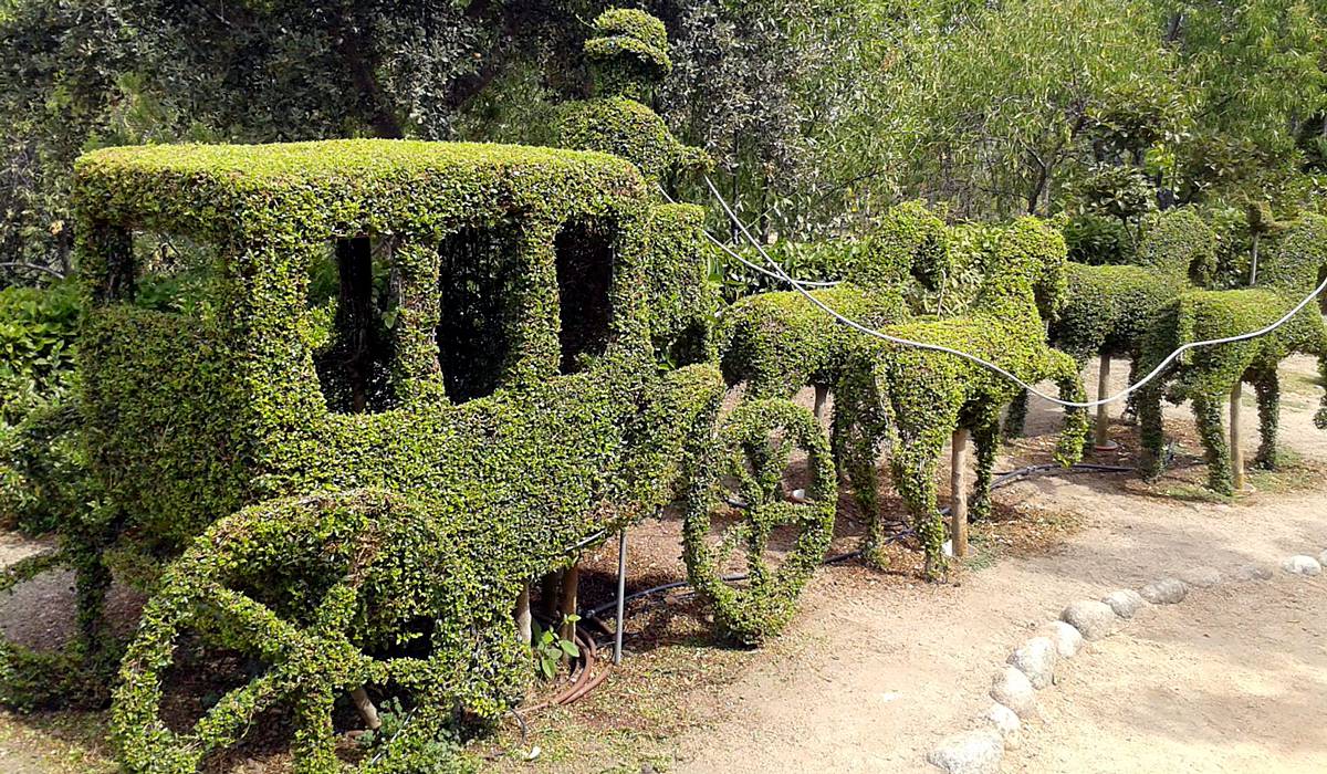 The Enchanted Forest