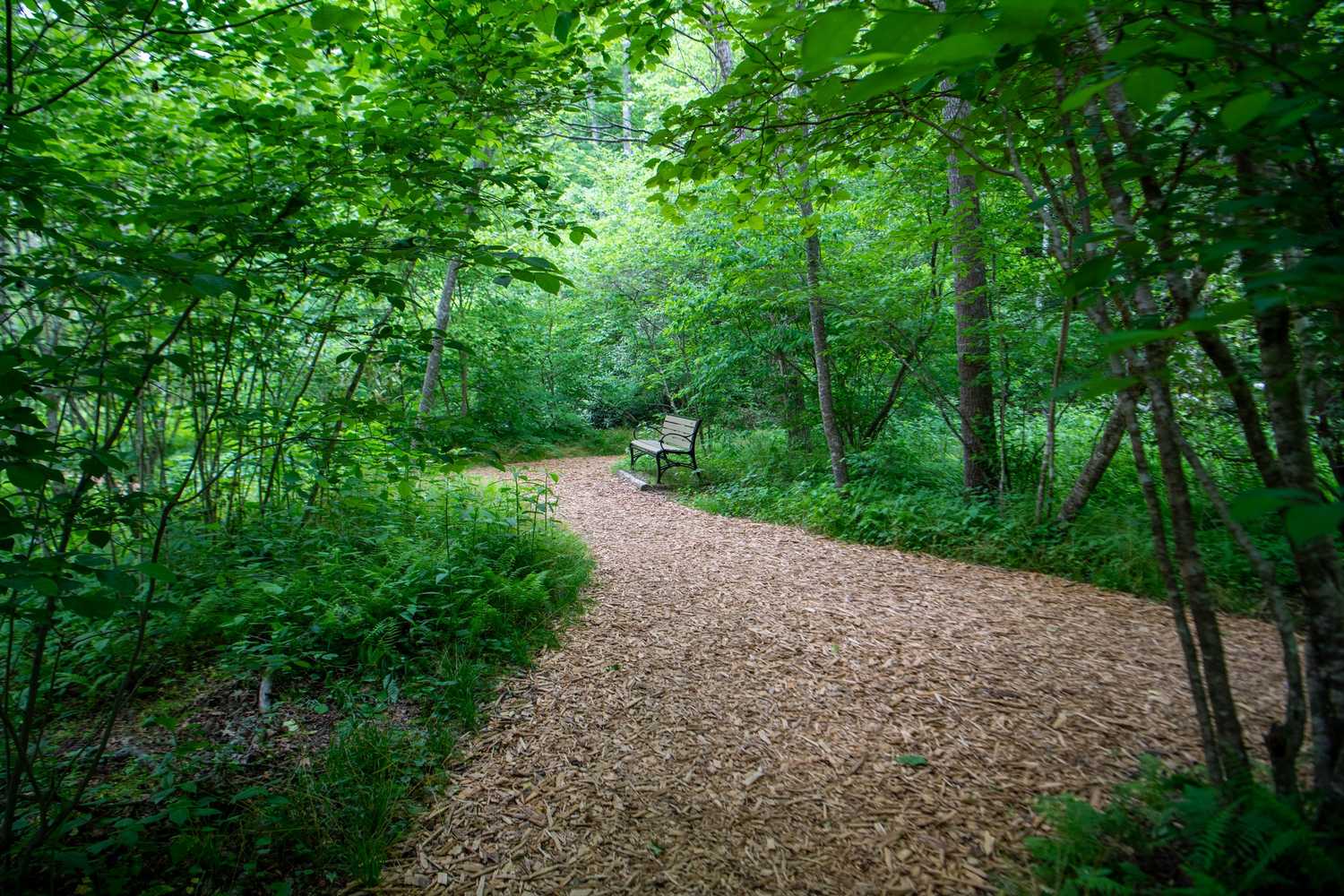 The North Carolina Arboretum photo 1