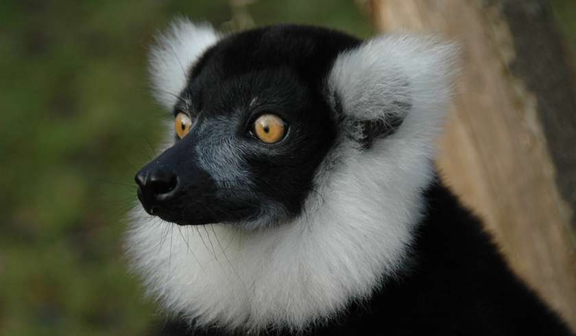 Tierpark Berlin Friedrichsfelde photo 1