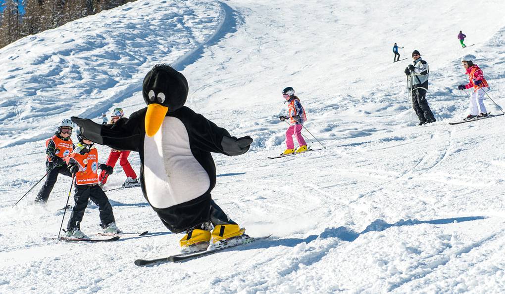 Top Alpin Walchhofer Ski School photo 1