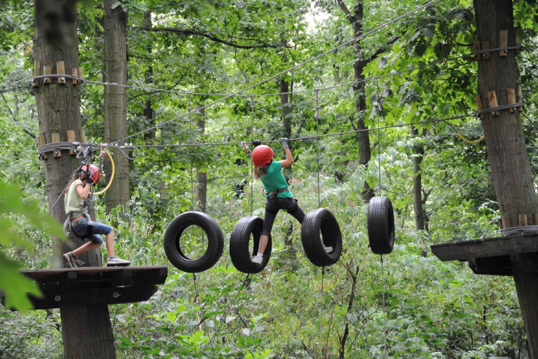 Tree2Tree Climbing Park photo 1