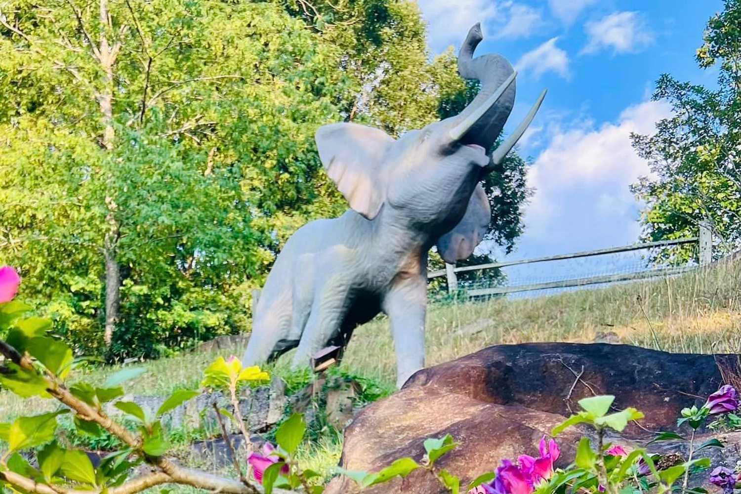 Tropical Gardens Mini Golf photo 1