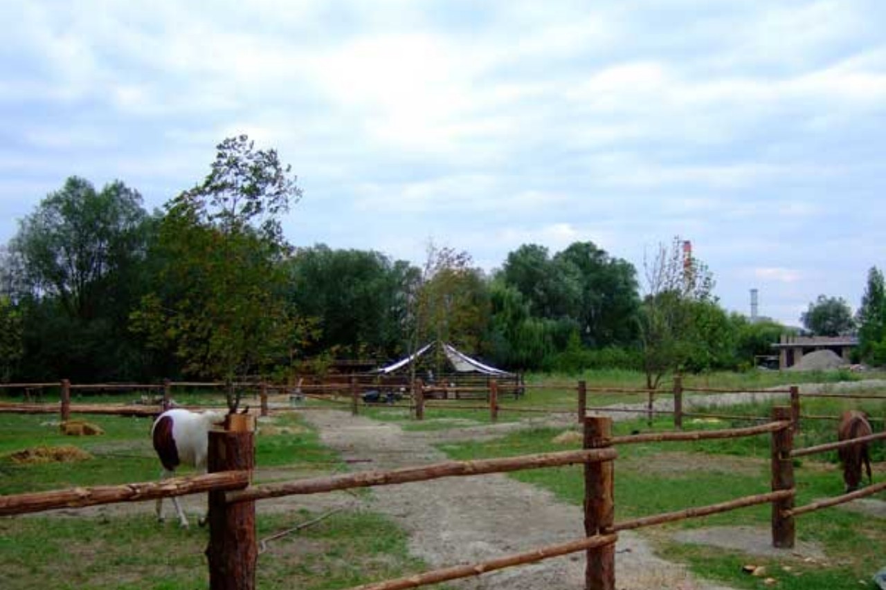Vienna Kids Farm photo 1