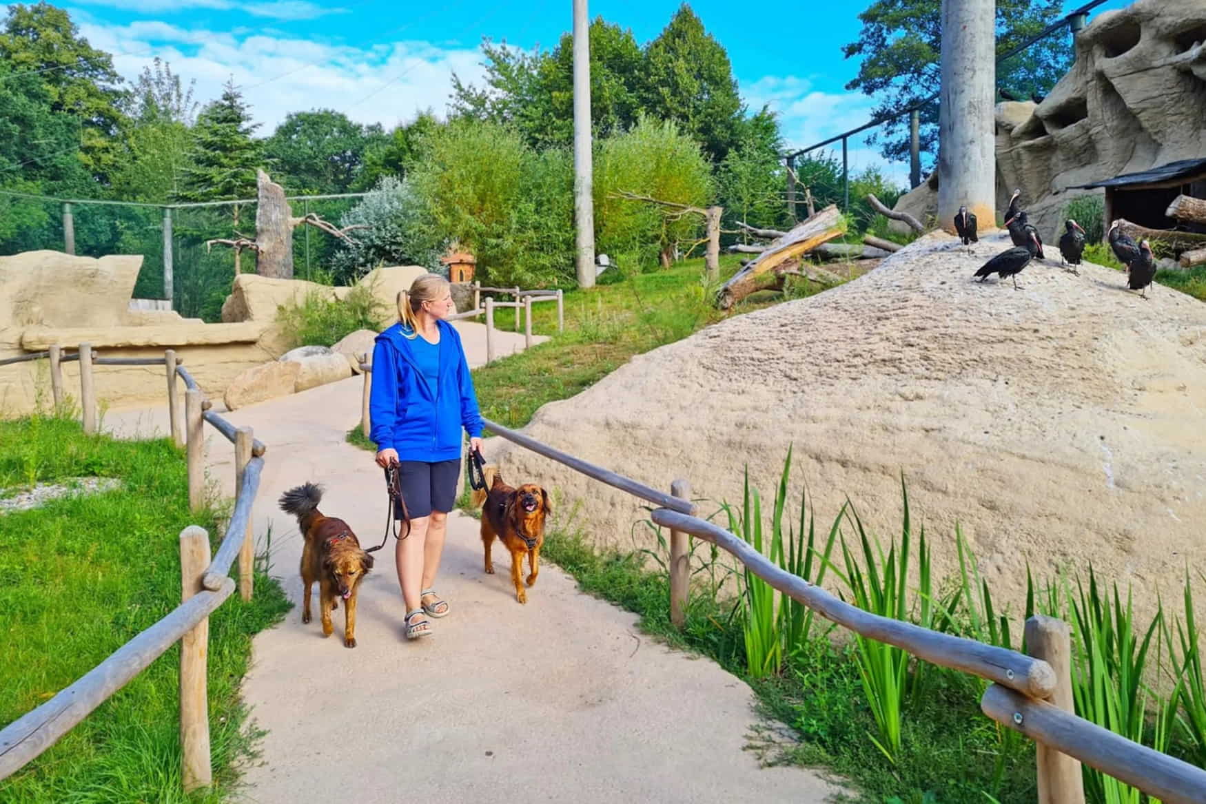 Vogelpark Marlow photo 1