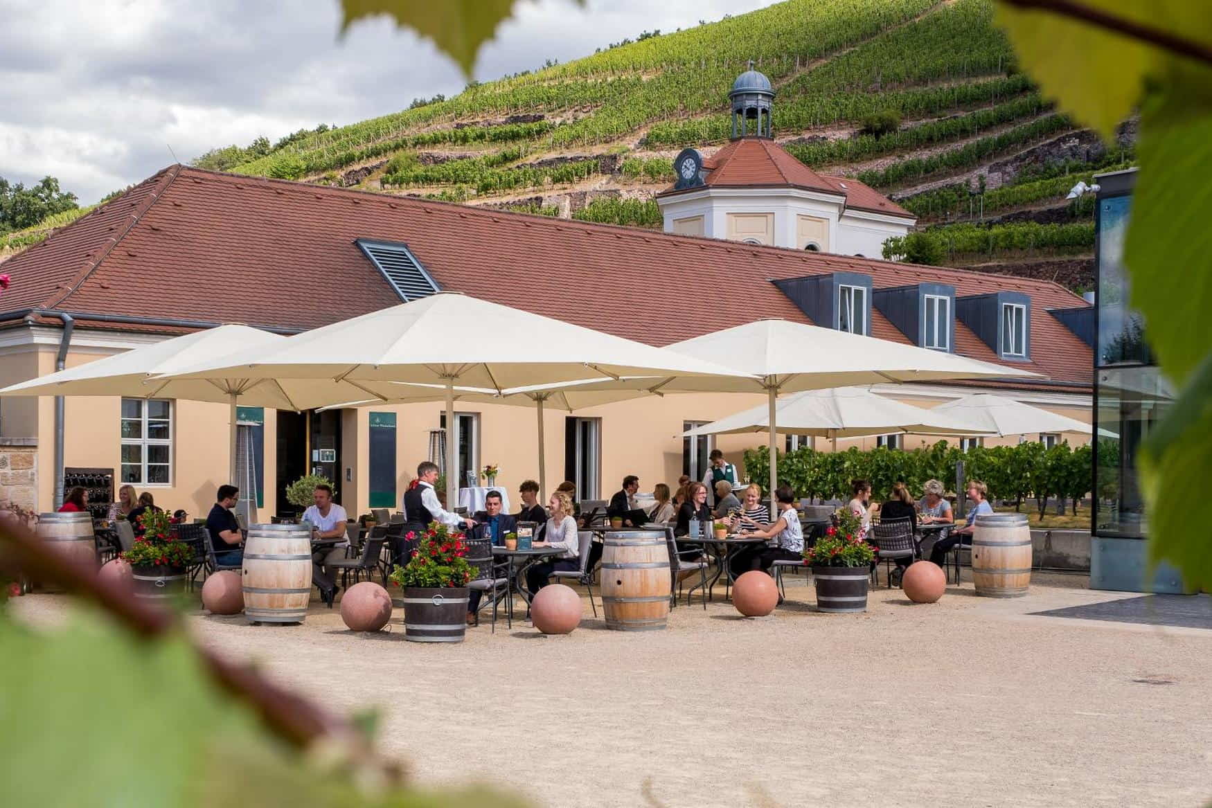 Wackerbarth Castle photo 1