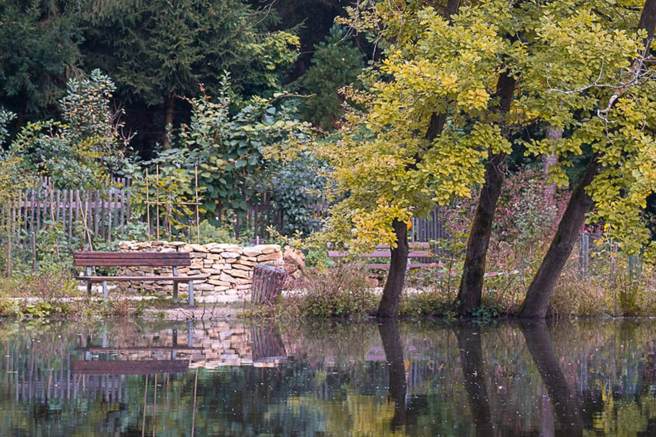 Wildpark Hollohe photo 1